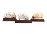 Three Scrimshaw Whale's Teeth