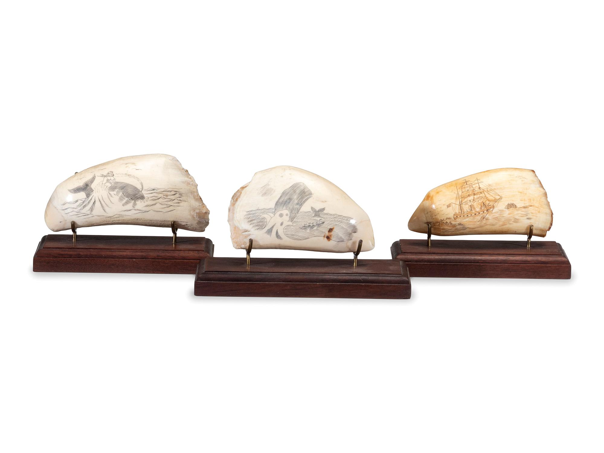 Three Scrimshaw Whale's Teeth