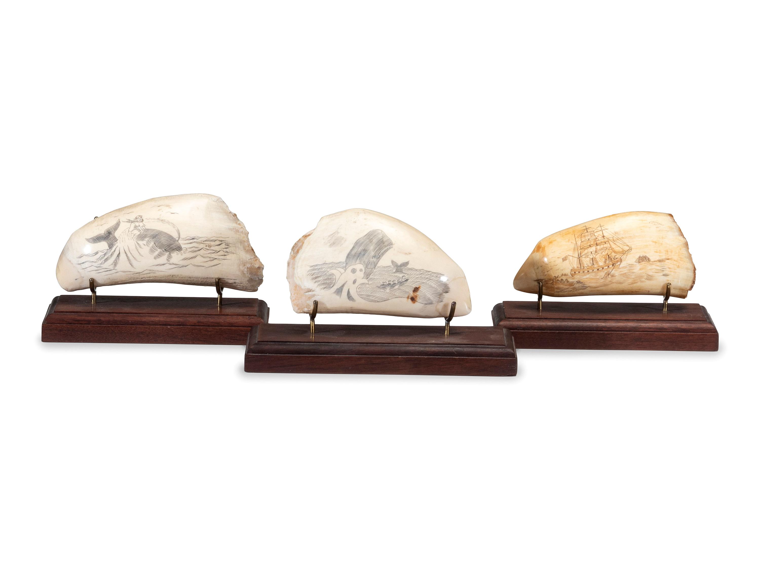 Three Scrimshaw Whale's Teeth