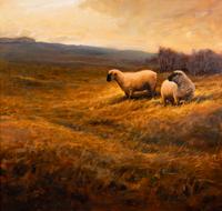 Sheep in a Grassy Field