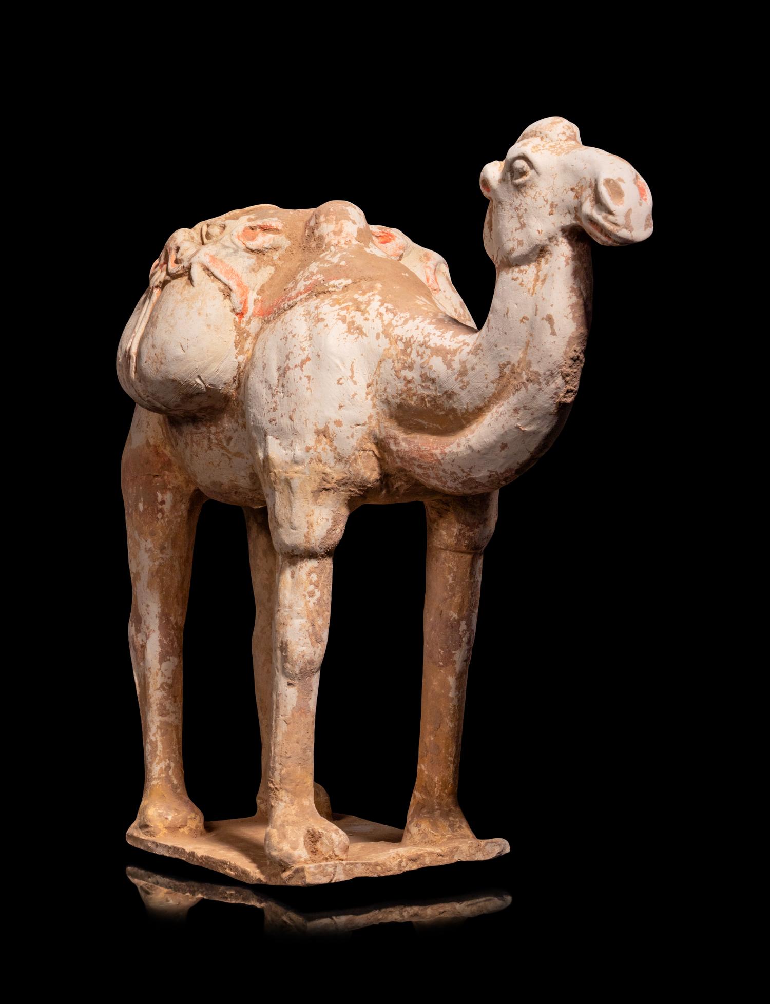 A Chinese Pottery Figure of a Caparisoned Camel