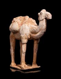 A Chinese Pottery Figure of a Caparisoned Camel