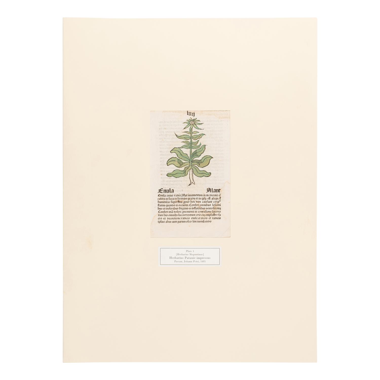 [Natural History]. Nissen, Claus. Herbals of Five Centuries. 50 Original Leaves... Zurich, Olten, and Munich: L'Art Ancien S.A.; Weiss-Hesse; and Robert Wolfle, 1958.