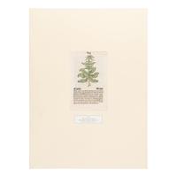 [Natural History]. Nissen, Claus. Herbals of Five Centuries. 50 Original Leaves... Zurich, Olten, and Munich: L'Art Ancien S.A.; Weiss-Hesse; and Robert Wolfle, 1958.