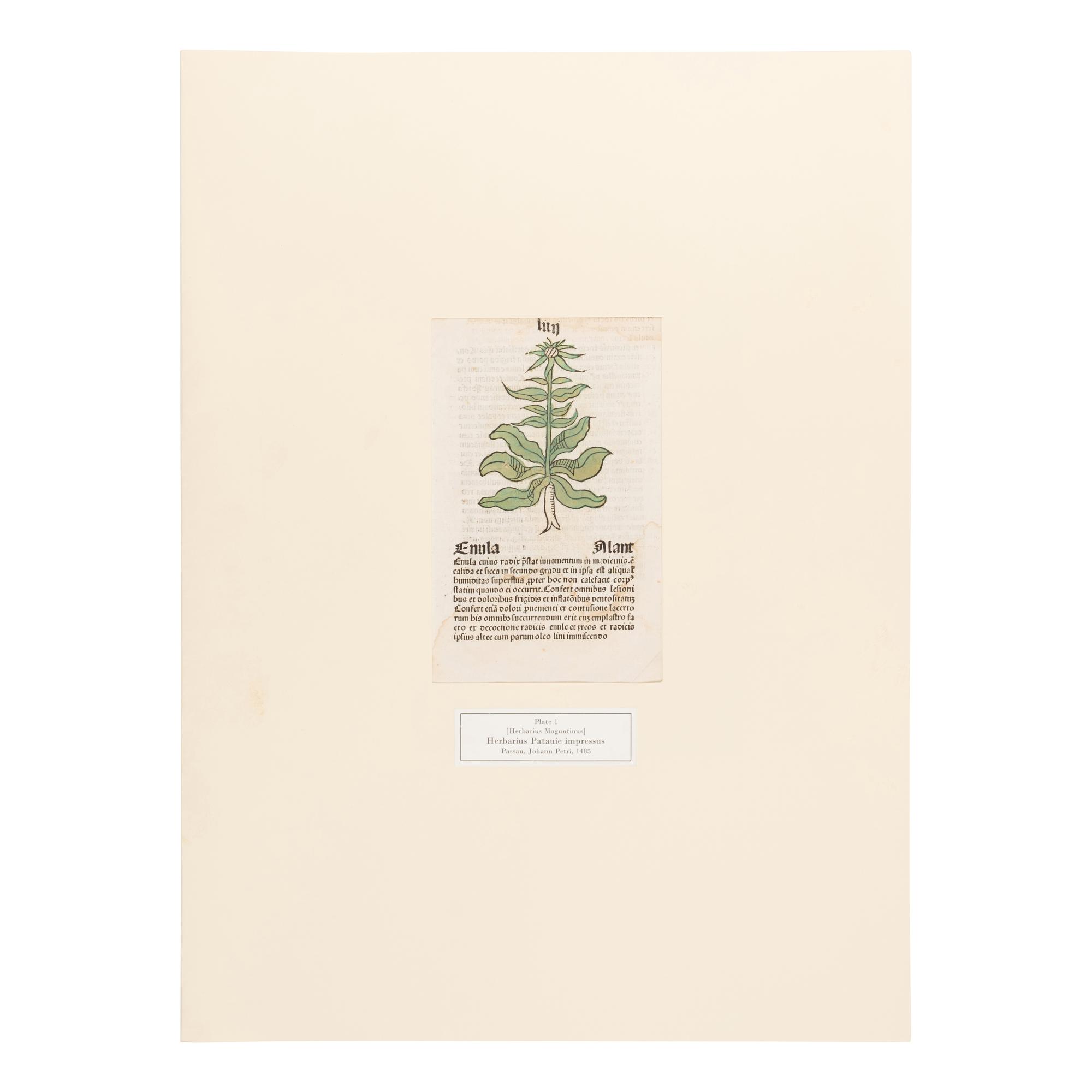 [Natural History]. Nissen, Claus. Herbals of Five Centuries. 50 Original Leaves... Zurich, Olten, and Munich: L'Art Ancien S.A.; Weiss-Hesse; and Robert Wolfle, 1958.