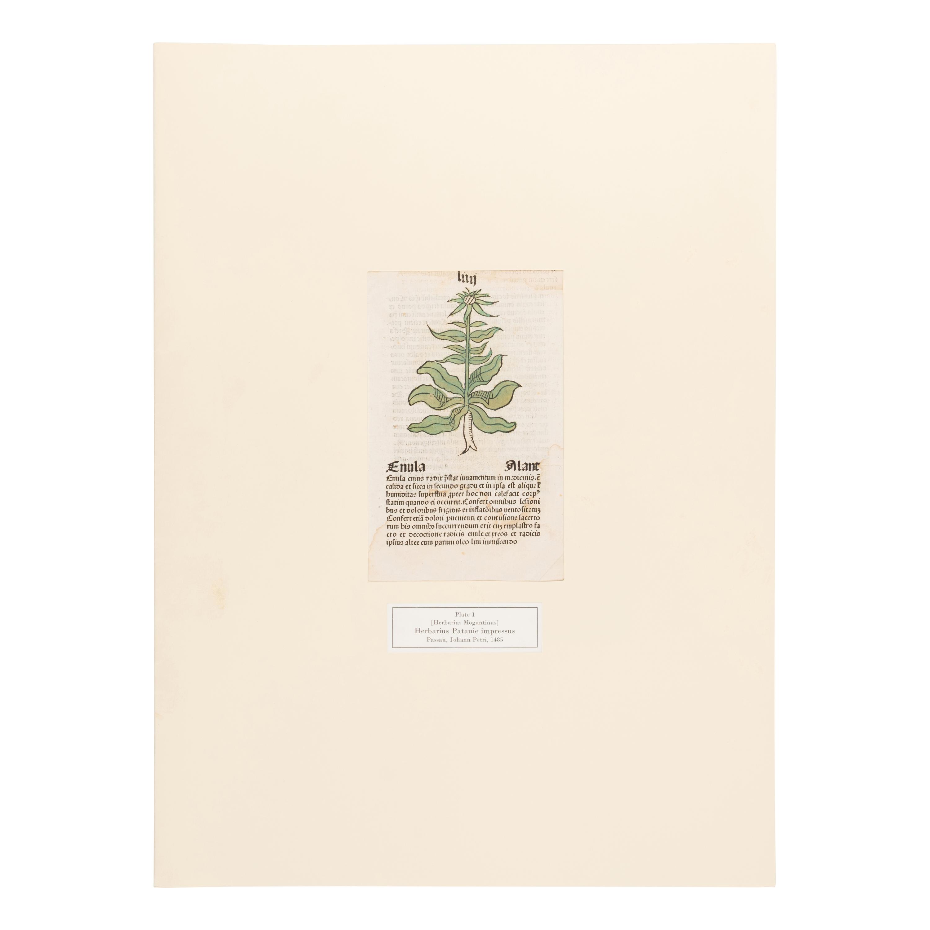 [Natural History]. Nissen, Claus. Herbals of Five Centuries. 50 Original Leaves... Zurich, Olten, and Munich: L'Art Ancien S.A.; Weiss-Hesse; and Robert Wolfle, 1958.