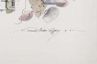 Untitled (Pair of Works)
