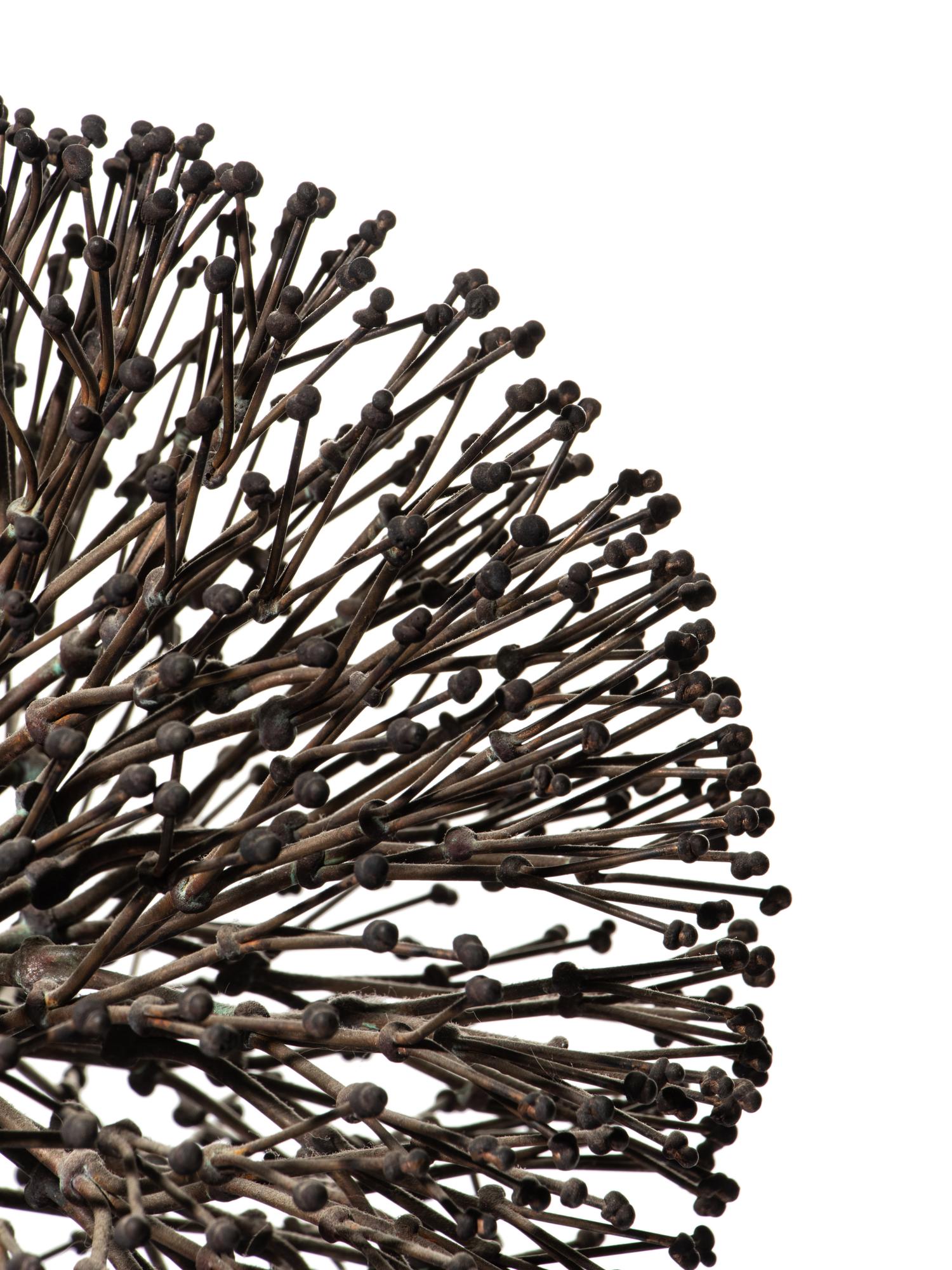 Untitled (Bush)