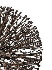 Untitled (Bush)