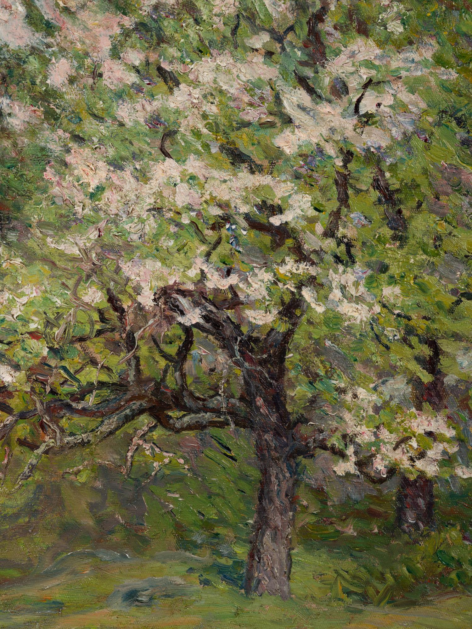 Flowering Orchards