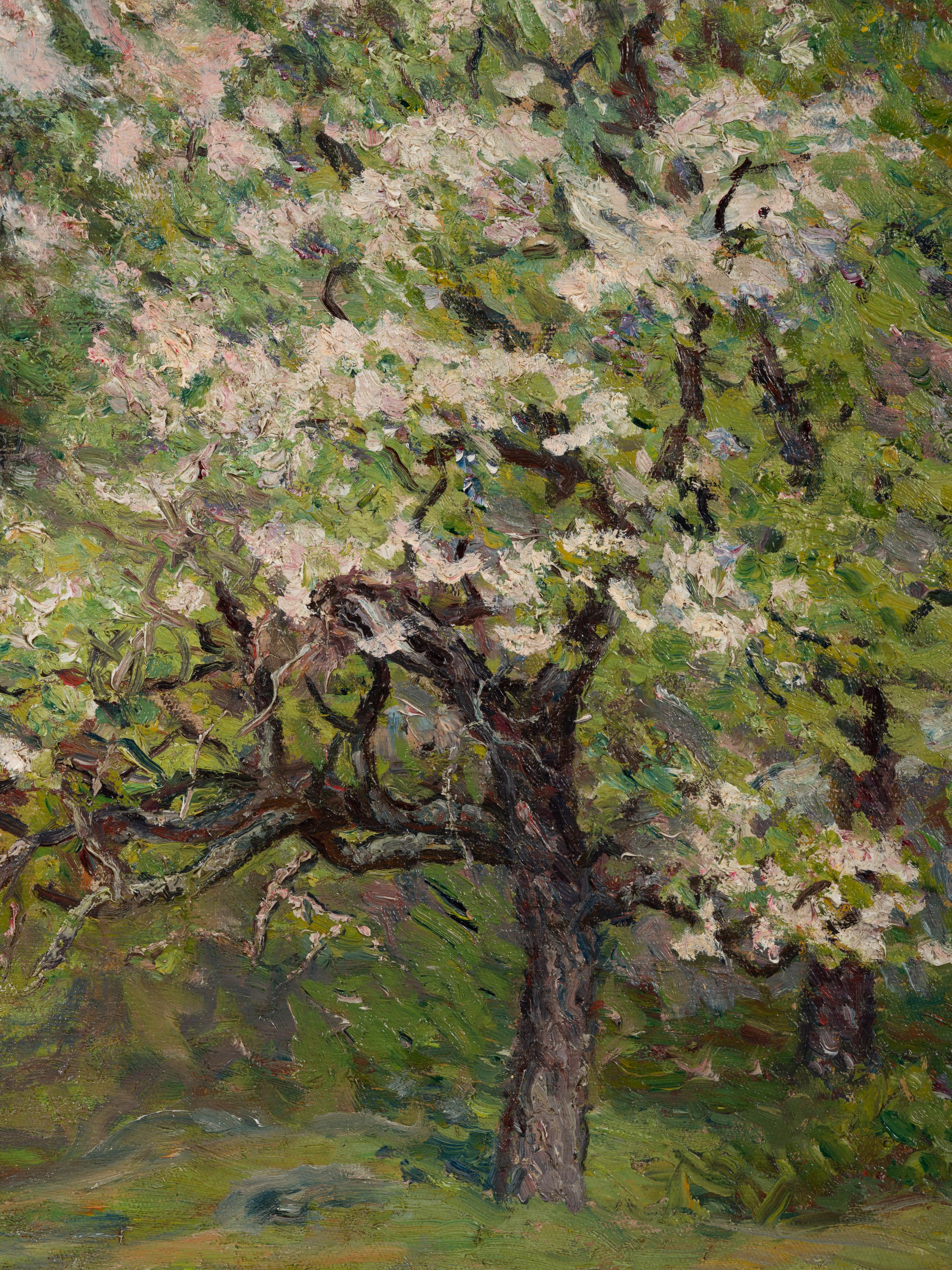 Flowering Orchards
