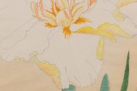 Seven Original Hand-Colored Prints