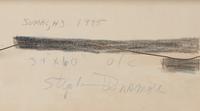 Sumac #3 , 1995