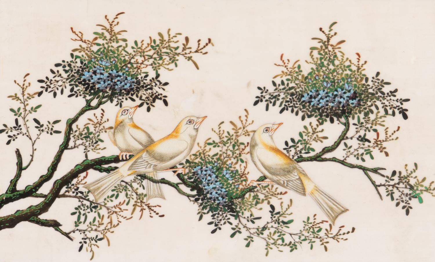 A Set of Twelve Chinese Export Watercolor and Pith Paintings of Exotic Birds