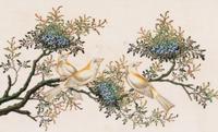 A Set of Twelve Chinese Export Watercolor and Pith Paintings of Exotic Birds