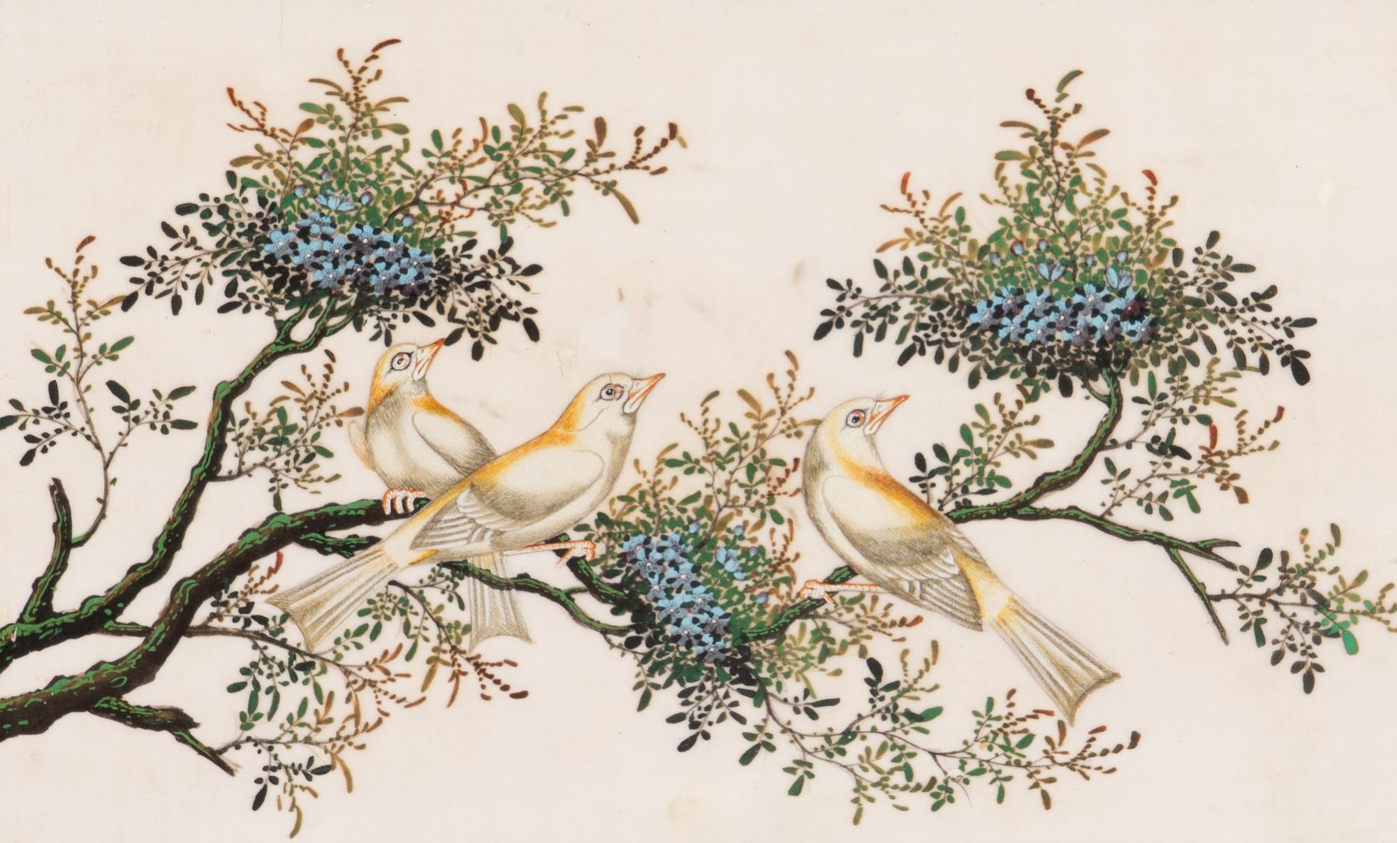 A Set of Twelve Chinese Export Watercolor and Pith Paintings of Exotic Birds