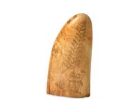 A Scrimshaw Whale Tooth