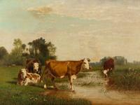 Cows in a Field
