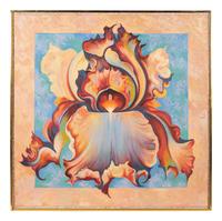 Rainbow Iris