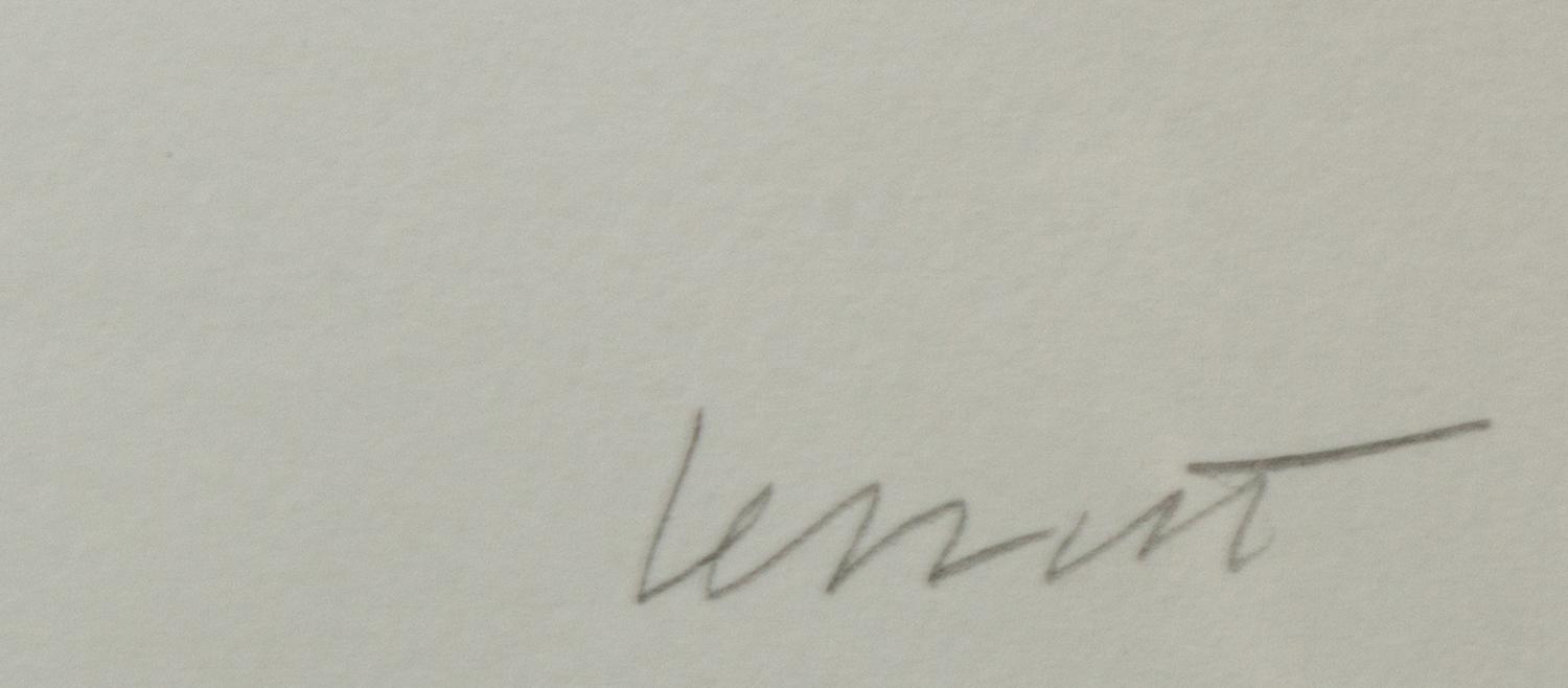 Brushstrokes in All Directions