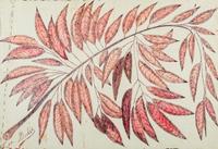 A Branch and Untitled