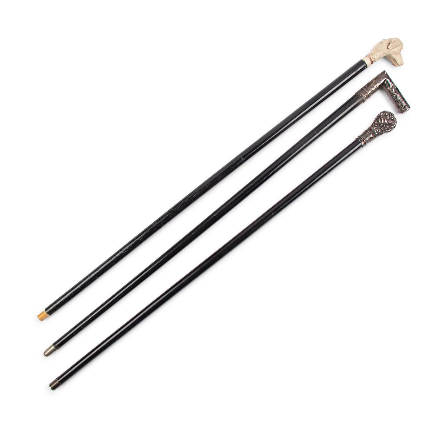 Three Walking Sticks