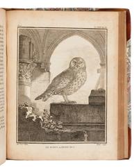 [NATURAL HISTORY]. BUFFON, Georges Louis Leclerc, Comte de (1707-1788). Buffon's Natural History Containing a Theory of the Earth, a General History of Man... London: Printed for the Proprietor and Sold by H.D. Symonds, 1797.