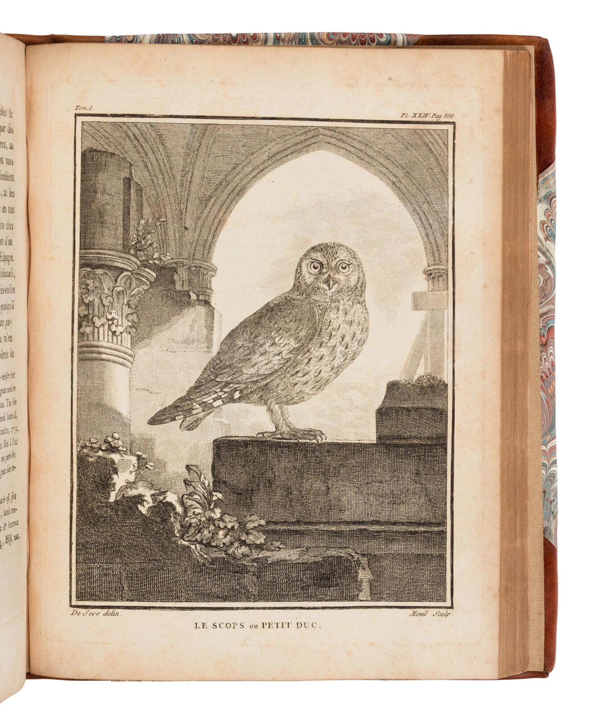 [NATURAL HISTORY]. BUFFON, Georges Louis Leclerc, Comte de (1707-1788). Buffon's Natural History Containing a Theory of the Earth, a General History of Man... London: Printed for the Proprietor and Sold by H.D. Symonds, 1797.