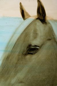 Untitled (Horse Head)