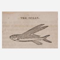 [Children's & Illustrated] [Anderson, Alexander] The Child's Book of the Ocean