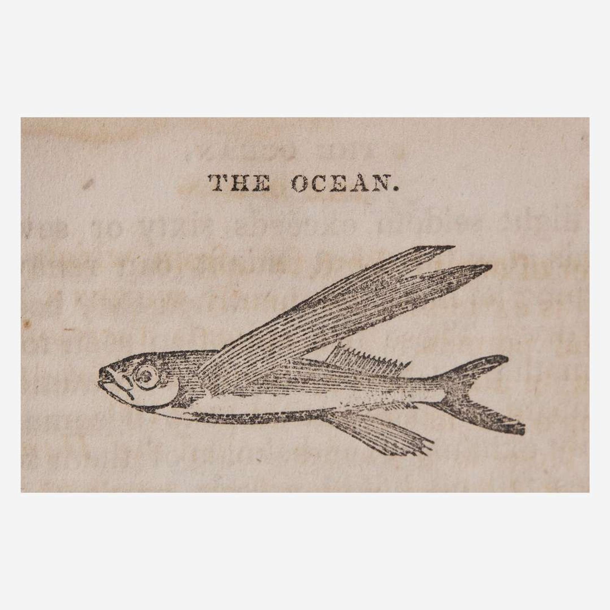[Children's & Illustrated] [Anderson, Alexander] The Child's Book of the Ocean