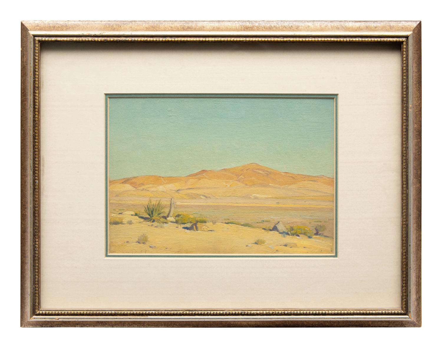 Mojave Sunlight