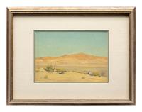 Mojave Sunlight