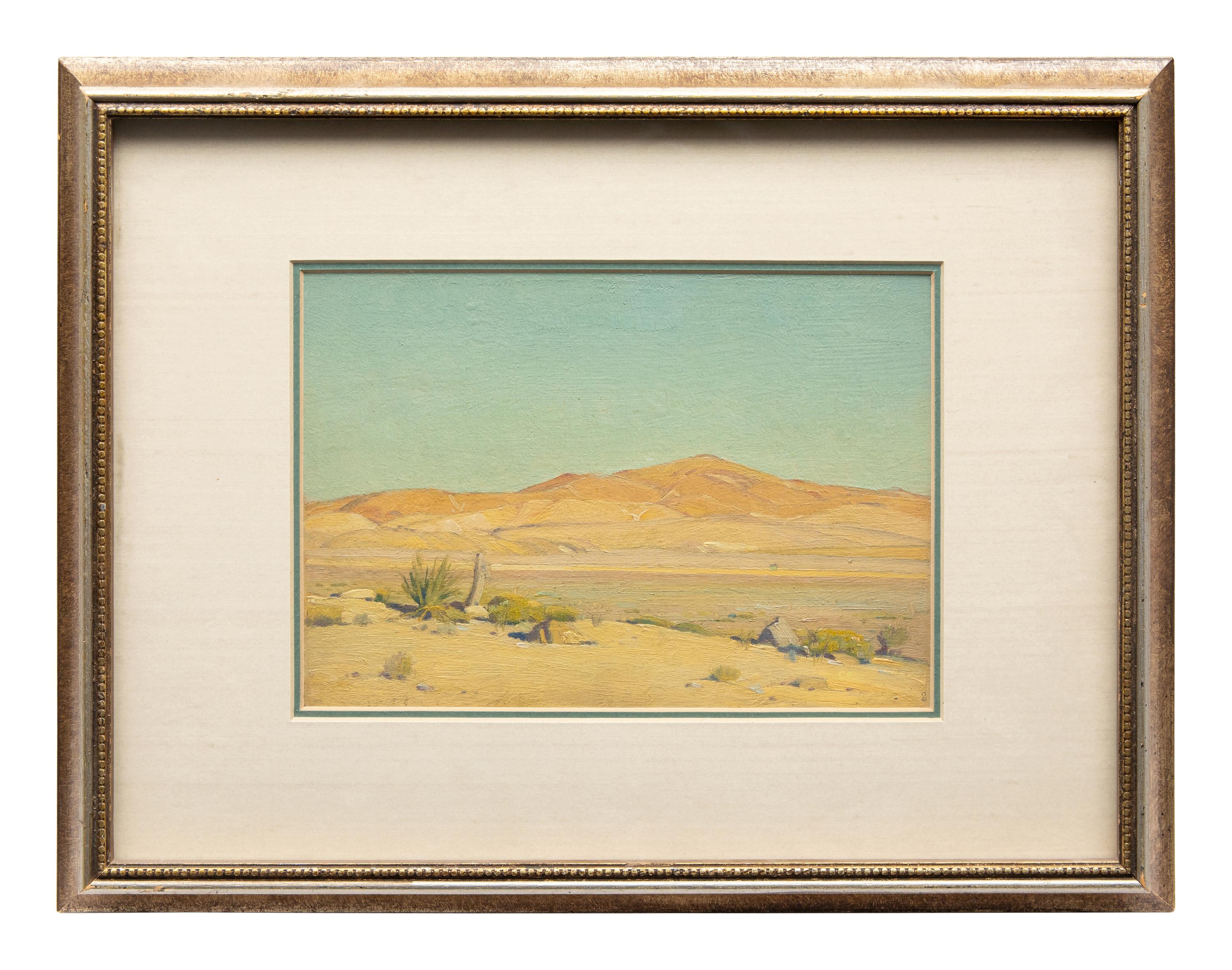 Mojave Sunlight