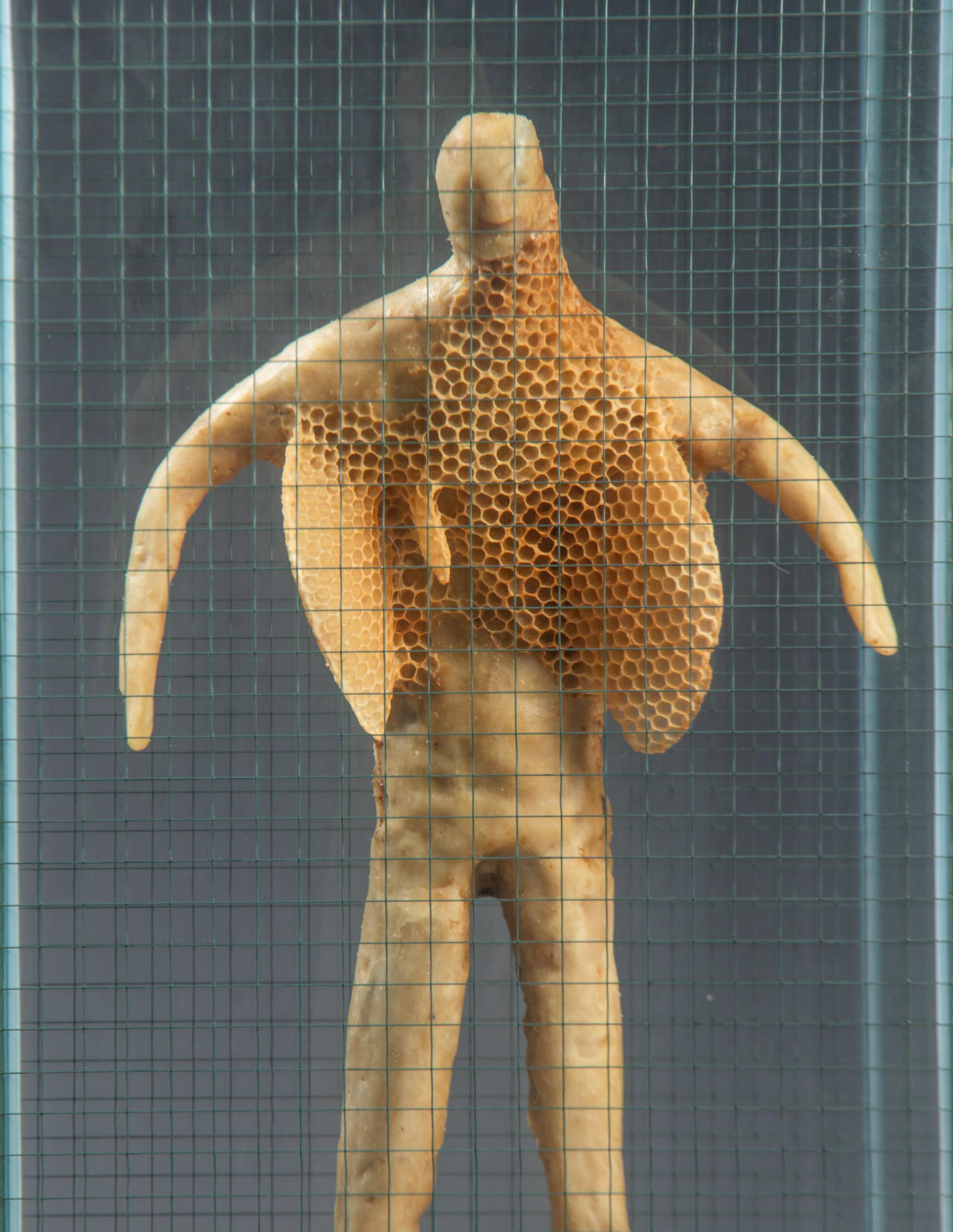 Man #5