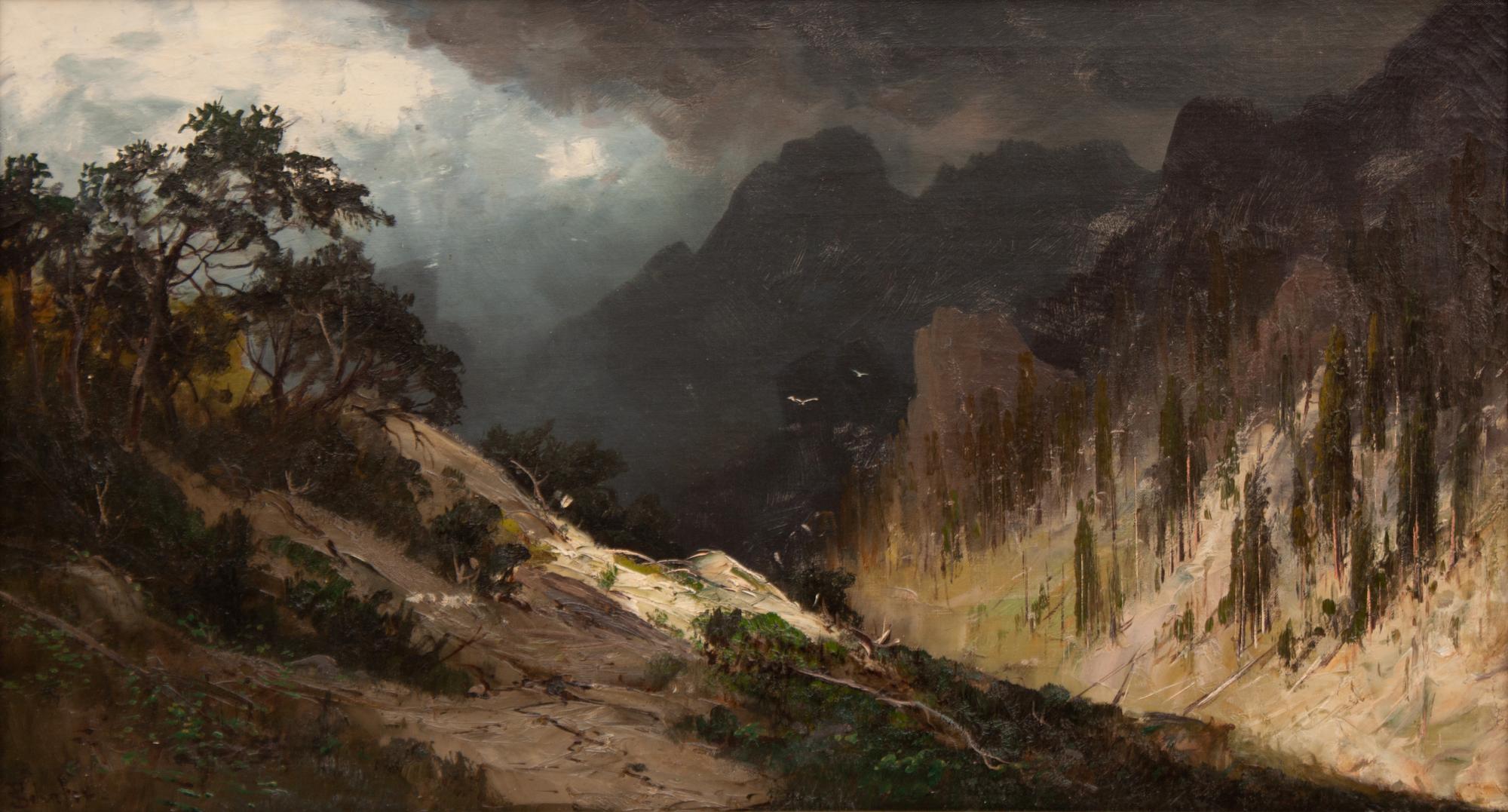 Colorado Landscape