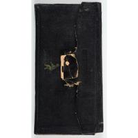 Civil War Diary of 2nd Lieutenant John Ripley, 8th Vermont Infantry