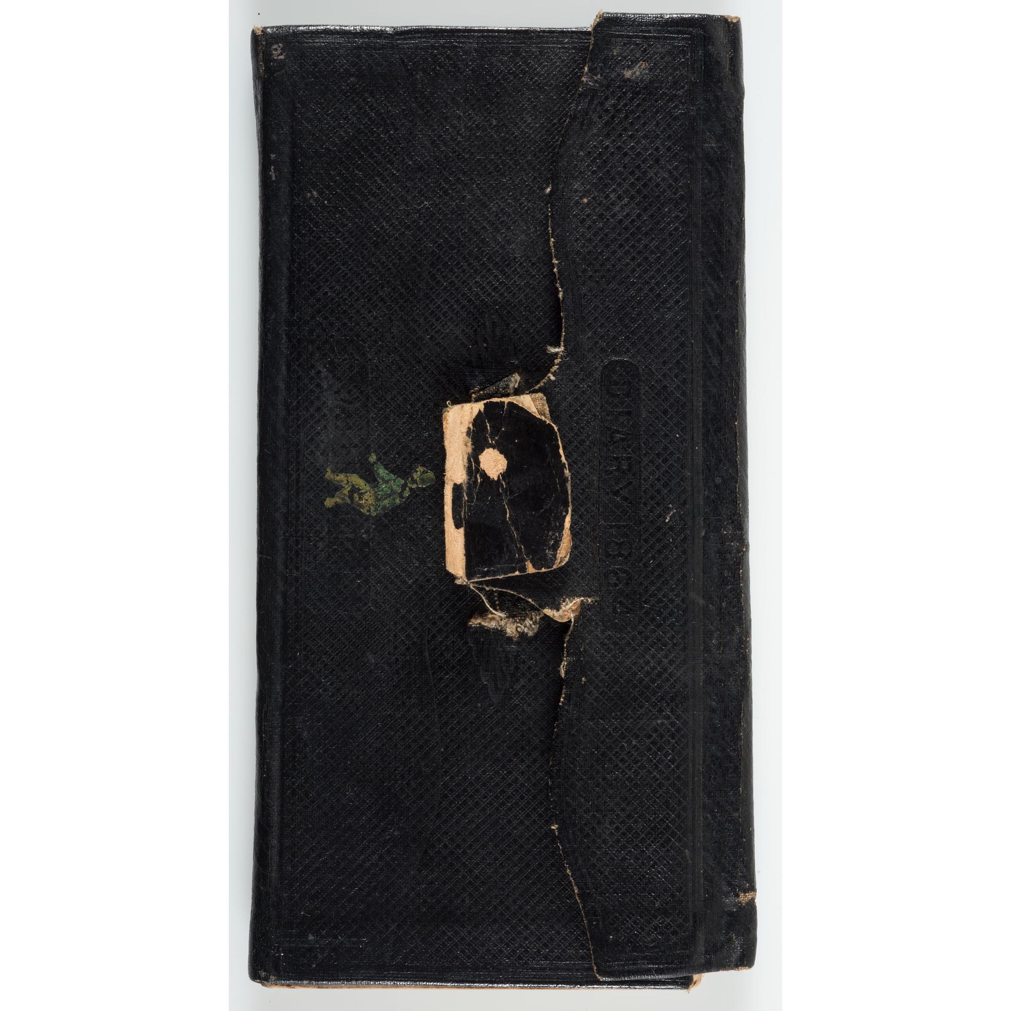 Civil War Diary of 2nd Lieutenant John Ripley, 8th Vermont Infantry