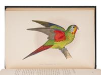 GREENE, William Thomas. Parrots in Captivity . London: George Bell and Sons, 1884-1887.