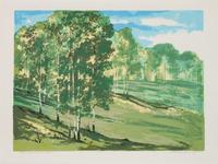 Five Works: Village of Trampas N.M ., edition 64/120; Rio Chama , edition 60/120; High Meadow , edition 86/120; The Stanstuario at Chimayo - N.M., edition 124/130; Palo Verde , edition 83/120