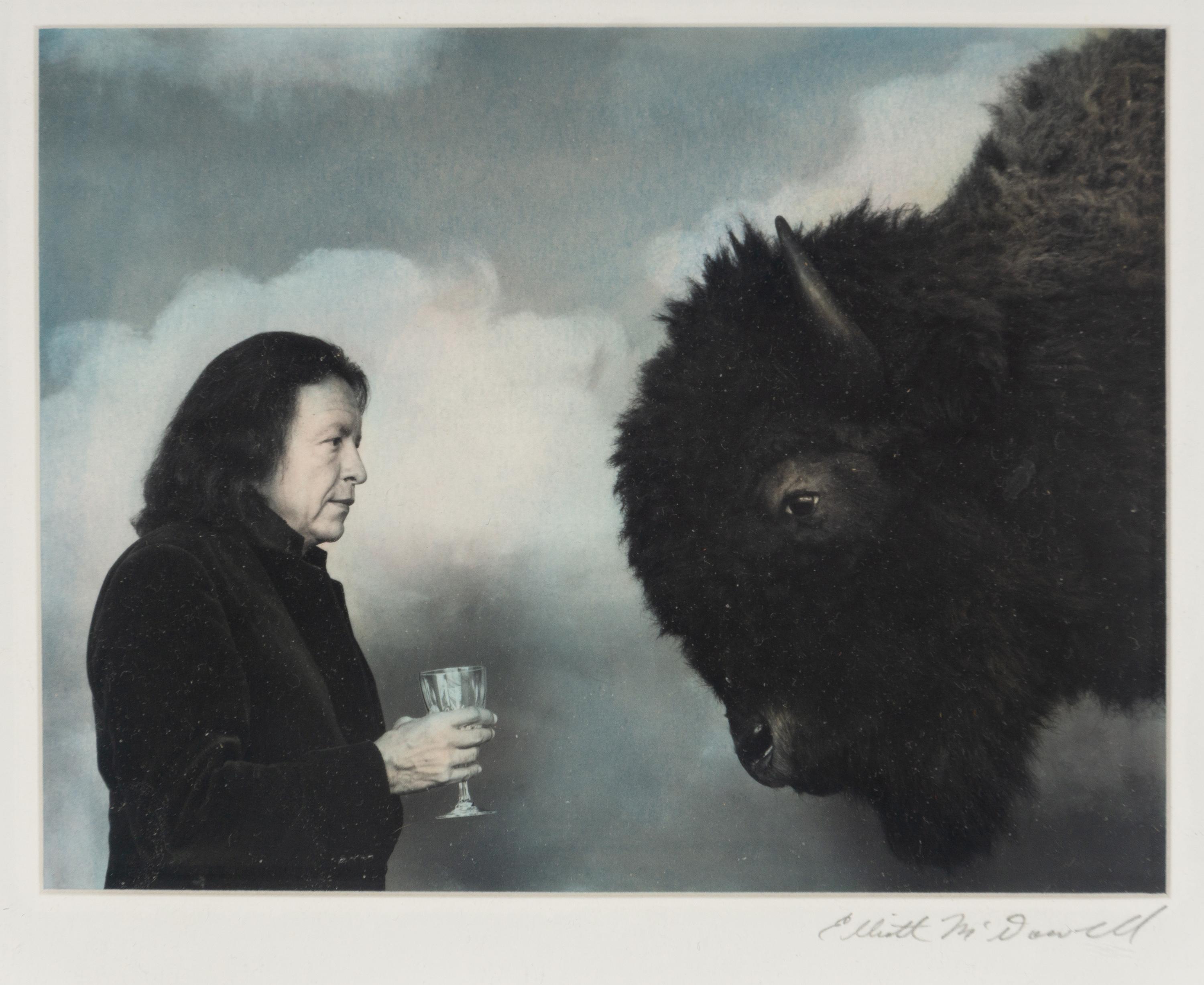 Fritz and Buffalo