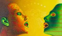 Heads in Love