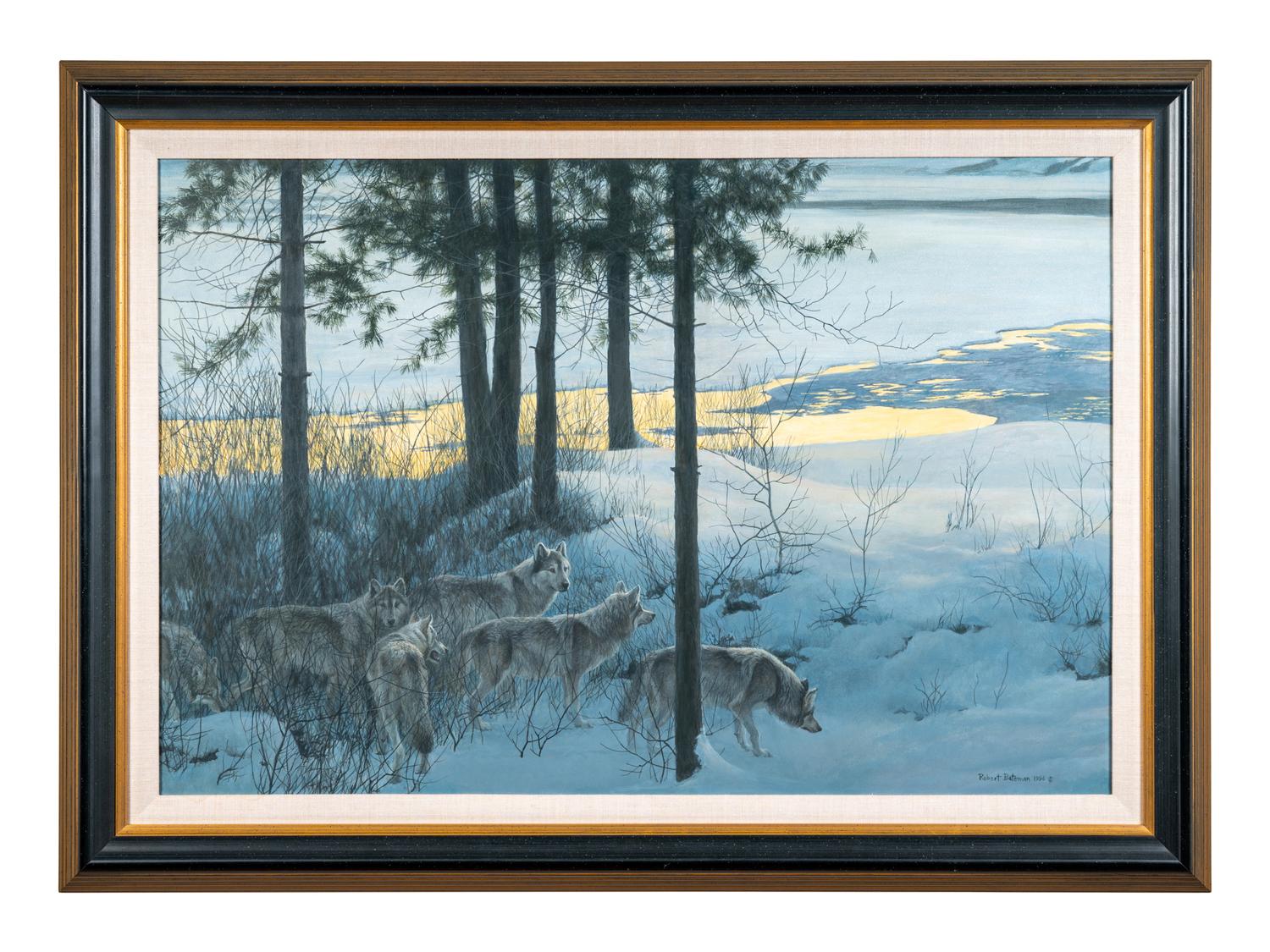 Edge of Night - Timber Wolves