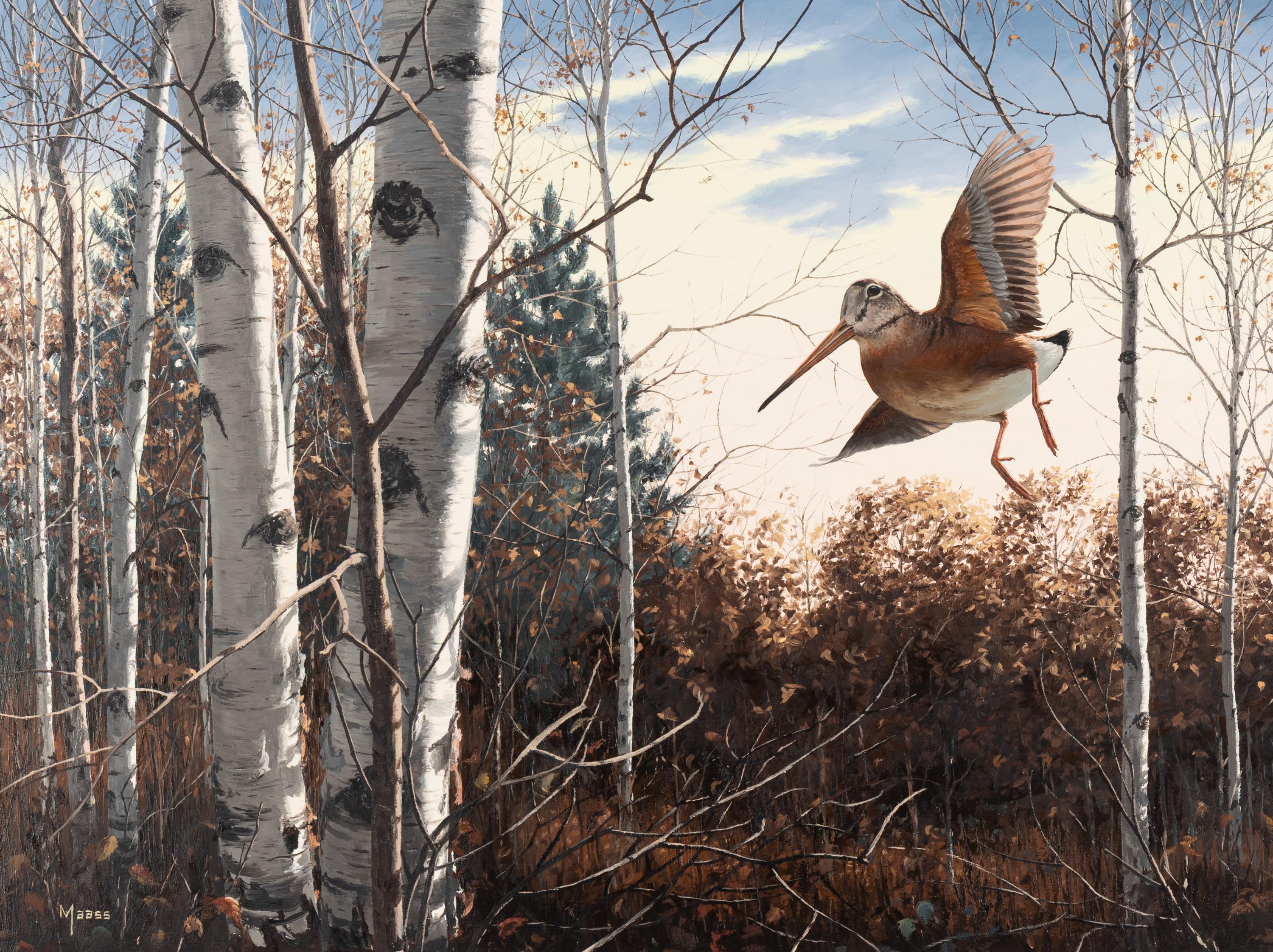 David Maass (American, b. 1929) — Woodcock