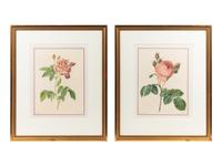 [REDOUTÉ Pierre-Joseph (1759-1840)]. VAUDOYER Jean-Louis (1883-1963). Choix des plus Belles Roses . Paris: [Librairie Denis et al], 1938.