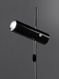 Adjustable Floor Lamp