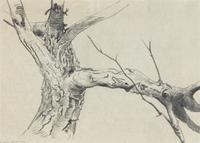 Study for Tree (For Winter #85) , 1963