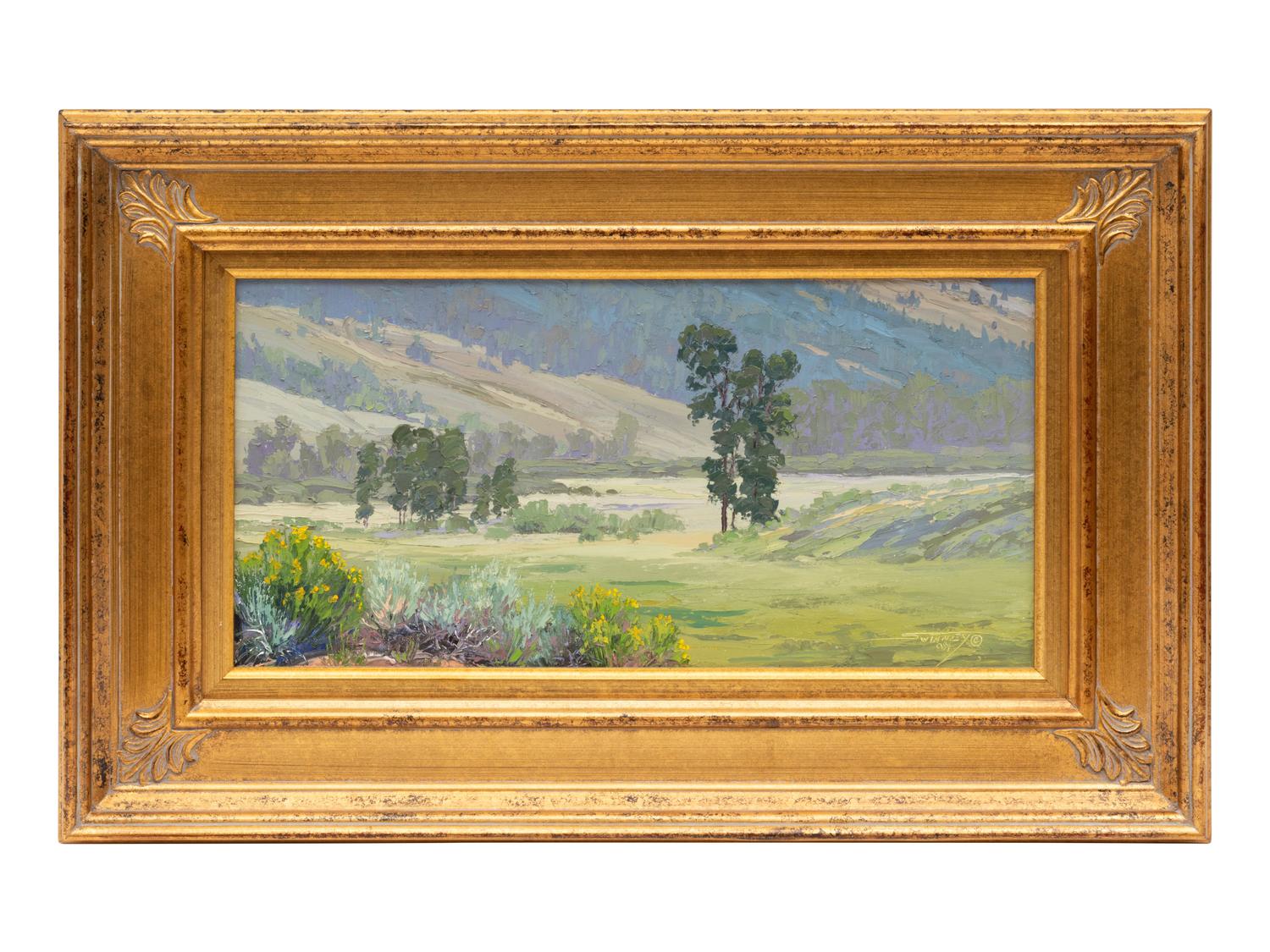 Mountain Meadow