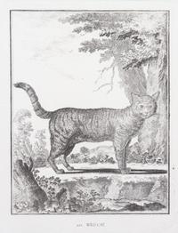 A Collection of Twenty Framed Black & White Animal Prints Framed size 21 3/4 x 19 1/2 inches. — 20TH CENTURY