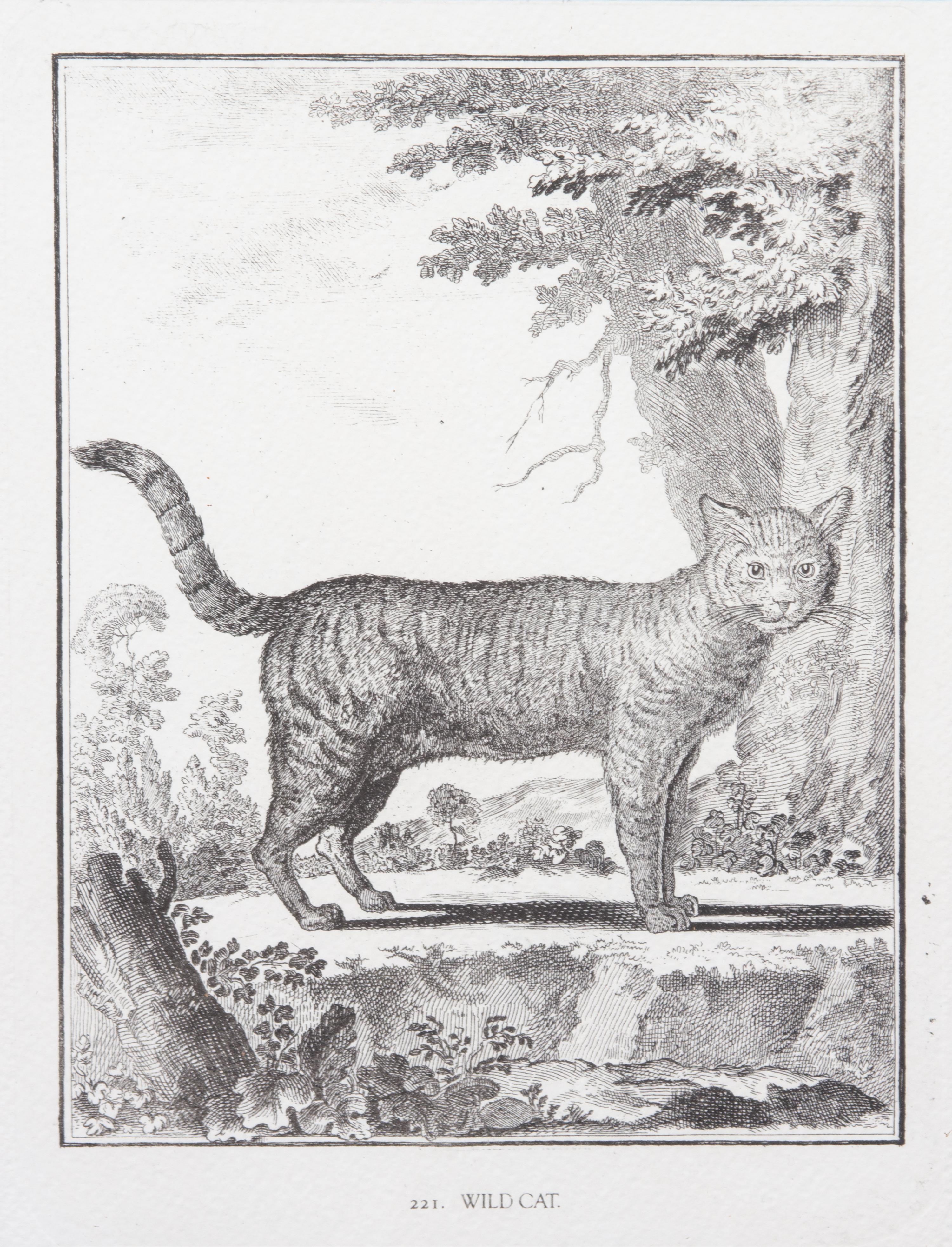 A Collection of Twenty Framed Black & White Animal Prints Framed size 21 3/4 x 19 1/2 inches. — 20TH CENTURY